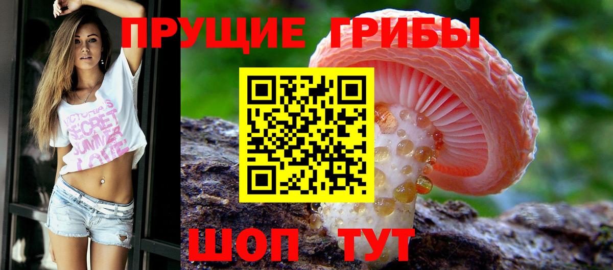 Галлюциногенные грибы прущие грибы  Псилоцибиновые грибы мухоморы  дарнет шоп  Вход с VPN  Сорочинск 