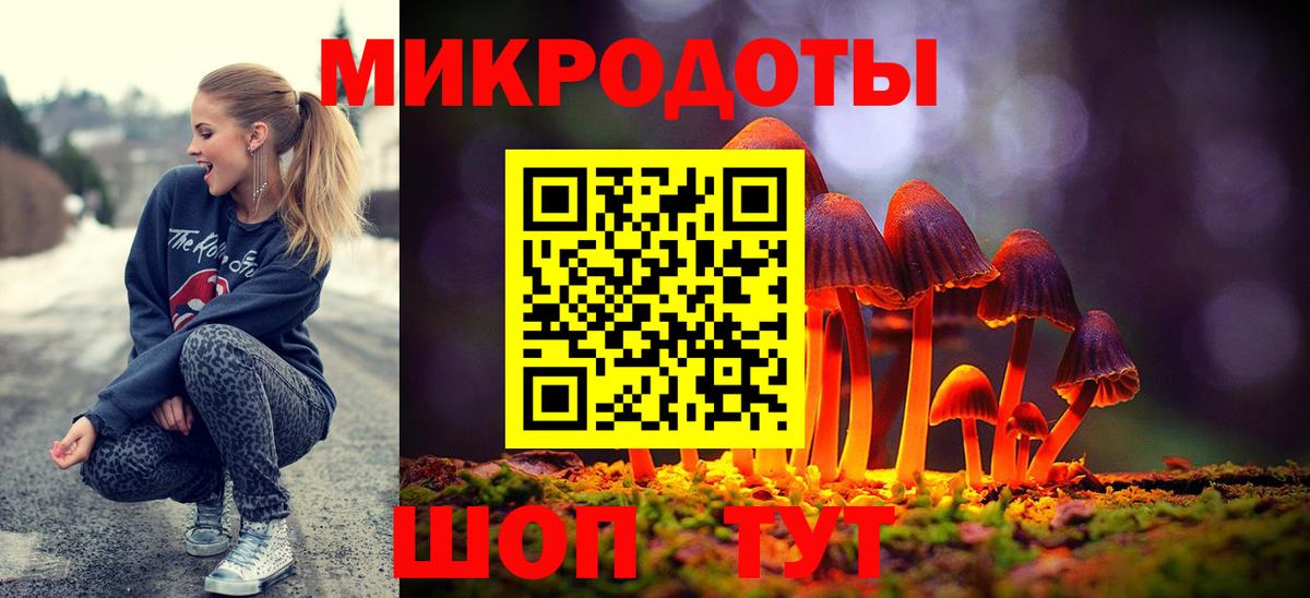 Галлюциногенные грибы Psilocybine cubensis Сорочинск
